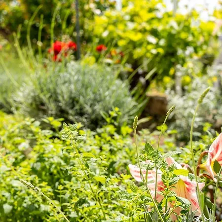 Kazo Гостевой дом 3*